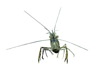 Similar image 2835888