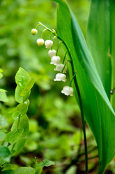 Similar image 2835895