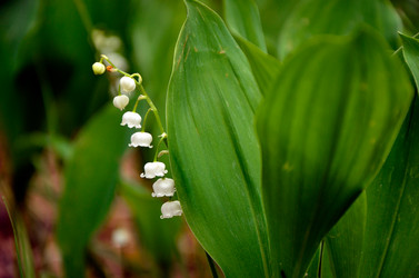 Similar image 2835896