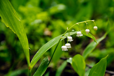 Similar image 2835908