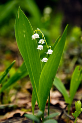 Similar image 2835909