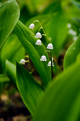 Similar image 2835910