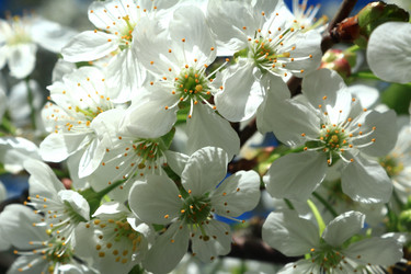 Similar image 2835936