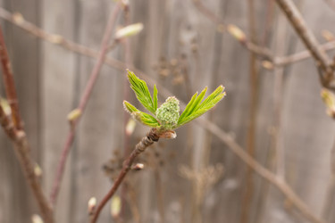 Similar image 2835947