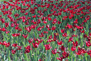 Similar image 2835971