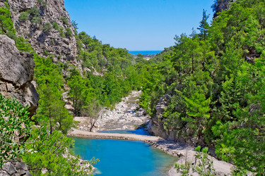 Similar image 2836009