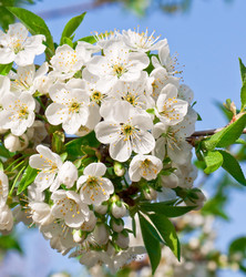 Similar image 2836038