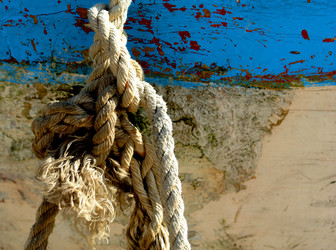 Similar image 2836049