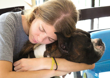 Similar image 2836058