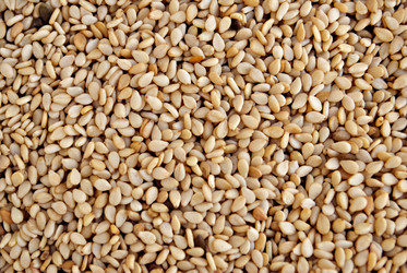 Similar image 2836064