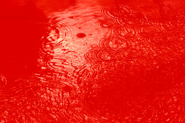 Similar image 2836068