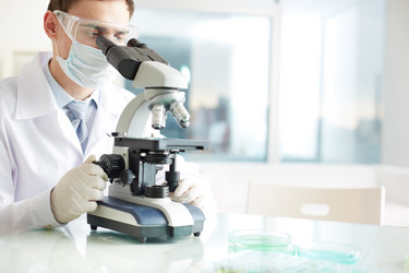 Similar image 2836245