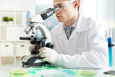 Similar image 2836256