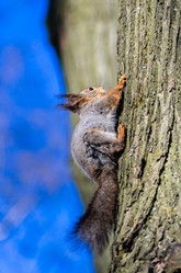 Similar image 2836417