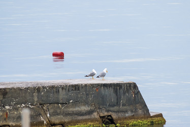 Similar image 2836582