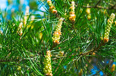 Similar image 2836621