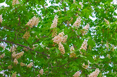 Similar image 2836623