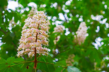 Similar image 2836624