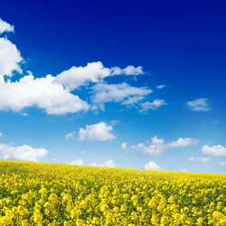 Similar image 2836989