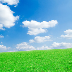 Similar image 2836994