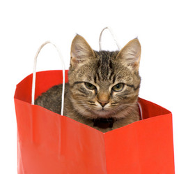 Similar image 2837001