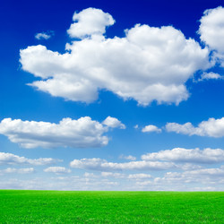 Similar image 2837006