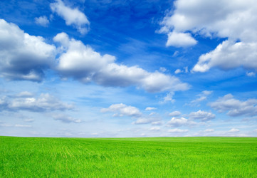 Similar image 2837016