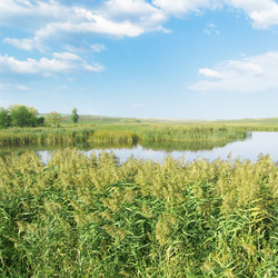 Similar image 2837018