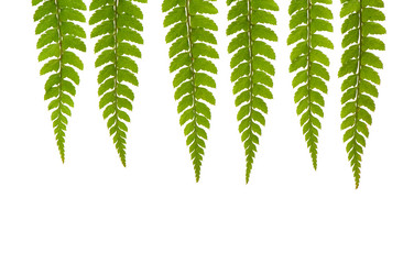 Similar image 2837021