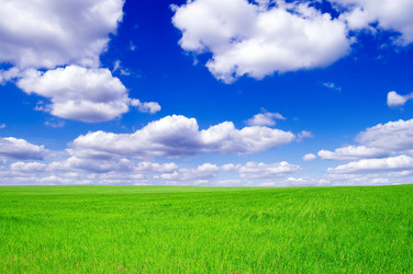 Similar image 2837023