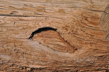 Similar image 2837024