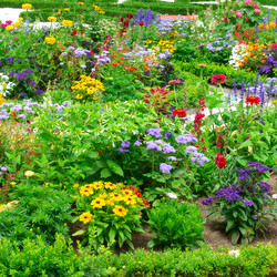 Similar image 2837033