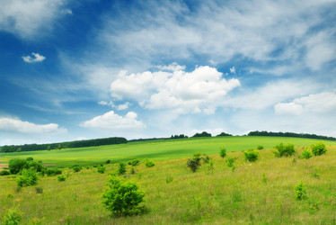 Similar image 2837034