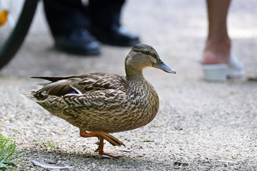 Similar image 2837036