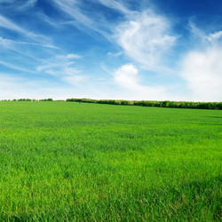 Similar image 2837038