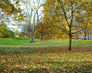 Similar image 2837790