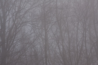 Similar image 2837842