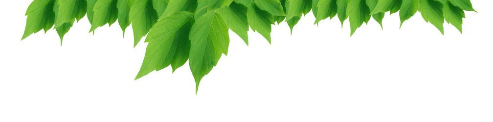 Similar image 2837927