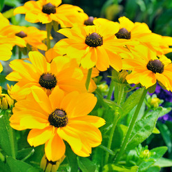 Similar image 2837972