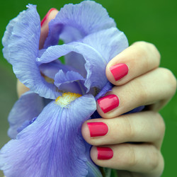 Similar image 2837979