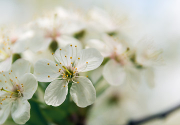 Similar image 2838014