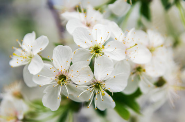 Similar image 2838019