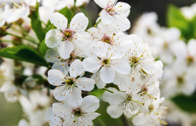 Similar image 2838021