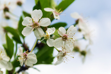 Similar image 2838022