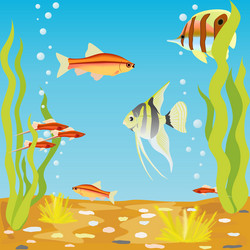 Similar image 2838032