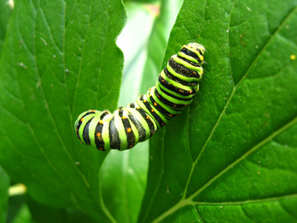 Similar image 2838069