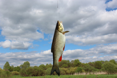 Similar image 2838071