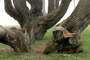 Similar image 2838129