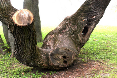 Similar image 2838130