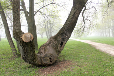 Similar image 2838131